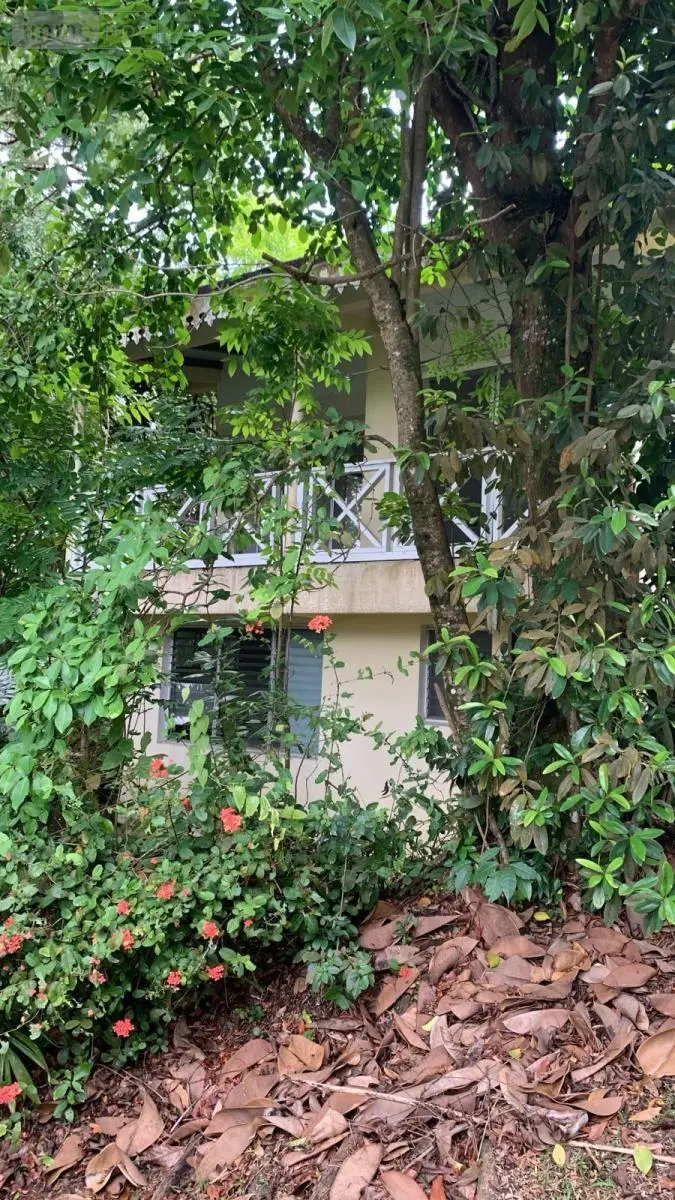 Maison a vendre Fort-de-France 97200 Martinique 972 249 m2 1050000 euros 97204-397 018