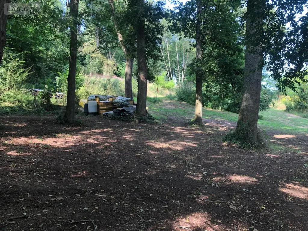 Terrain a batir a vendre Laon 02000 Aisne 02 56000 euros 02002-264 007