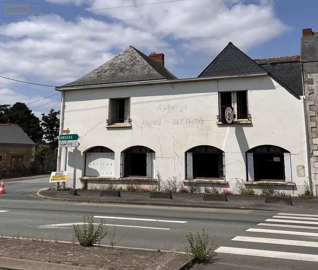 Immeuble de rapport a vendre Ingrandes-le-Fresne-sur-Loire 49123 Maine-et-Loire 49 314 m2 148300 euros 49019-3368 001