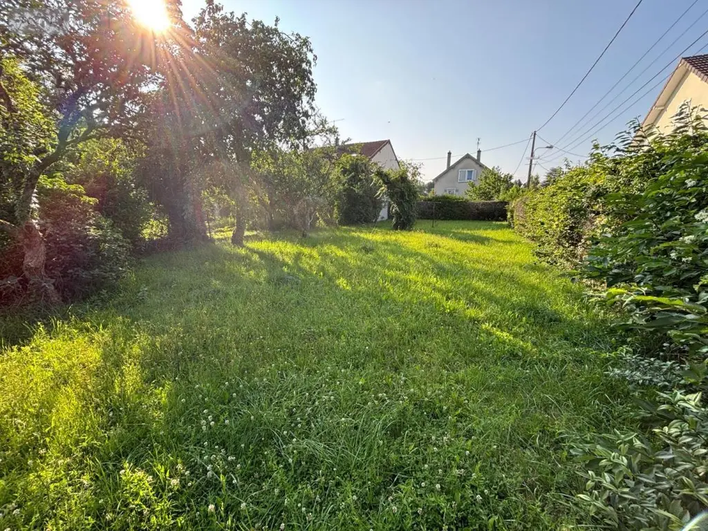 Terrain a batir a vendre Exincourt 25400 Doubs 25 49000 euros 25054-1726 001