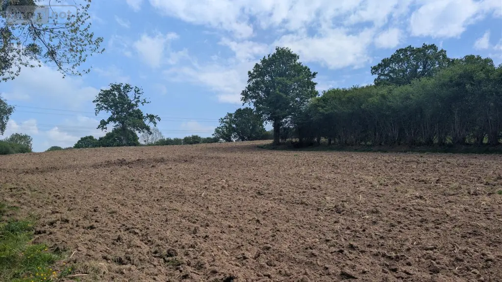 Terrains de loisirs bois etangs a vendre Rouffigny 50800 Manche 50 25375 euros 50038-2617 001