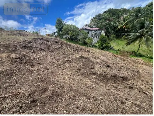 Terrain a batir a vendre Le François 97240 Martinique 972 200000 euros 97204-384 003