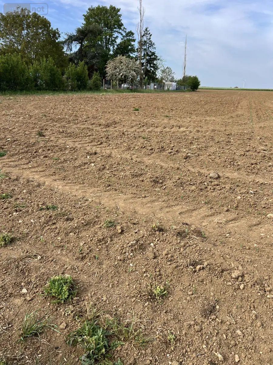 Terrain a batir a vendre Binas 41240 Loir-et-Cher 41 28000 euros 41029-53 003