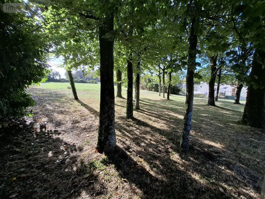 Maison a vendre Saint-Georges-des-Coteaux 17810 Charente-Maritime 17 105 m2 4 pièces 236070 euros 17111-765 005