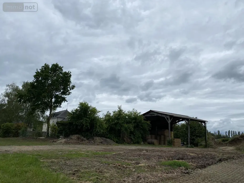 Maison a vendre Rives-du-Loir-en-Anjou 49140 Maine-et-Loire 49 159 m2 6 pièces 312060 euros 49031-2840 009