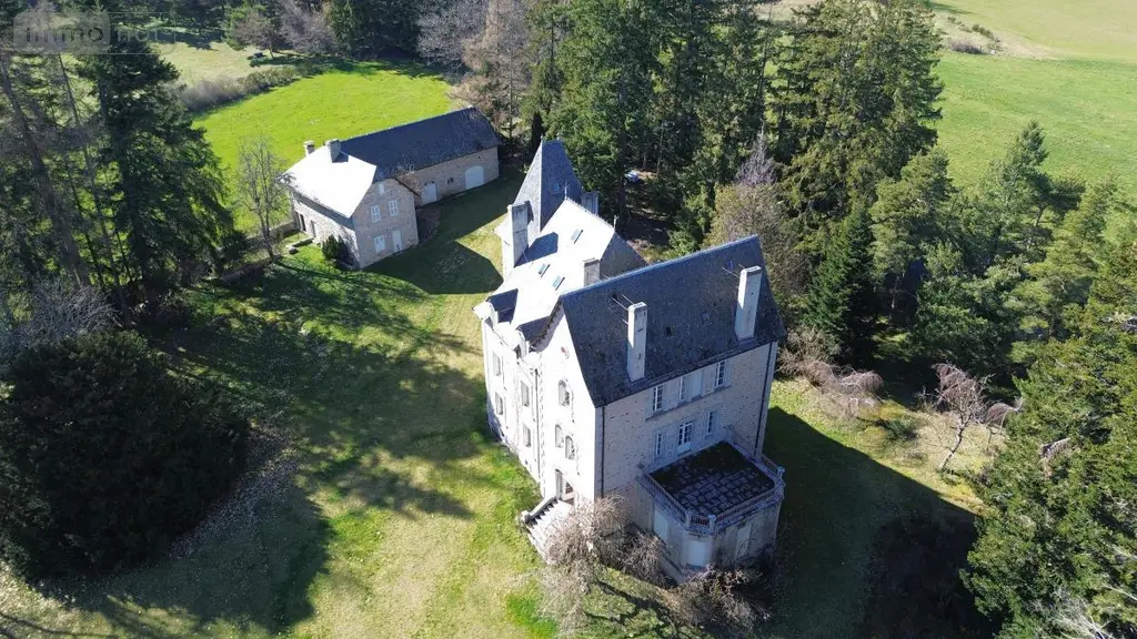 Maison a vendre Albaret-Sainte-Marie 48200 Lozère 48 550 m2 20 pièces 625000 euros 48032-214 005
