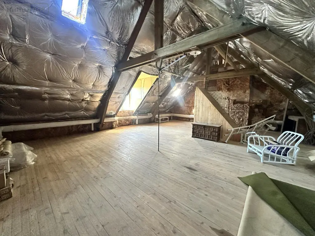 Maison a vendre Ruynes-en-Margeride 15320 Cantal 15 229 m2 340000 euros 15046-45 015