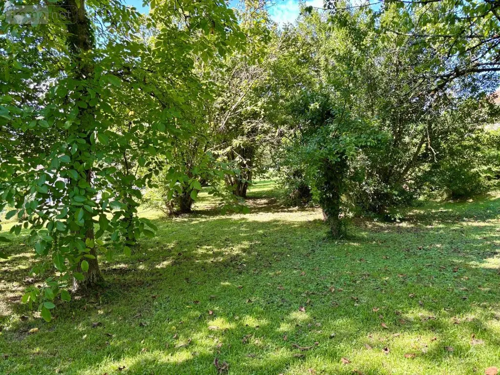 Terrain a batir a vendre Damparis 39500 Jura 39 79000 euros 39034-888 004