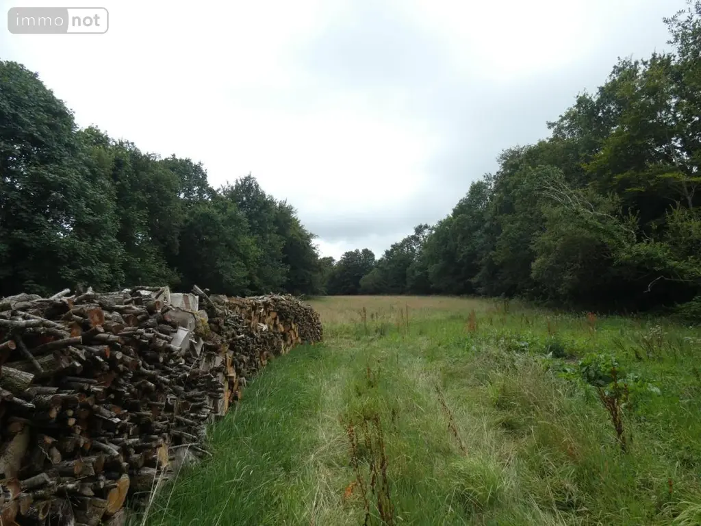 Terrain a batir a vendre Loqueffret 29530 Finistère 29 53000 euros 29129-1048 002