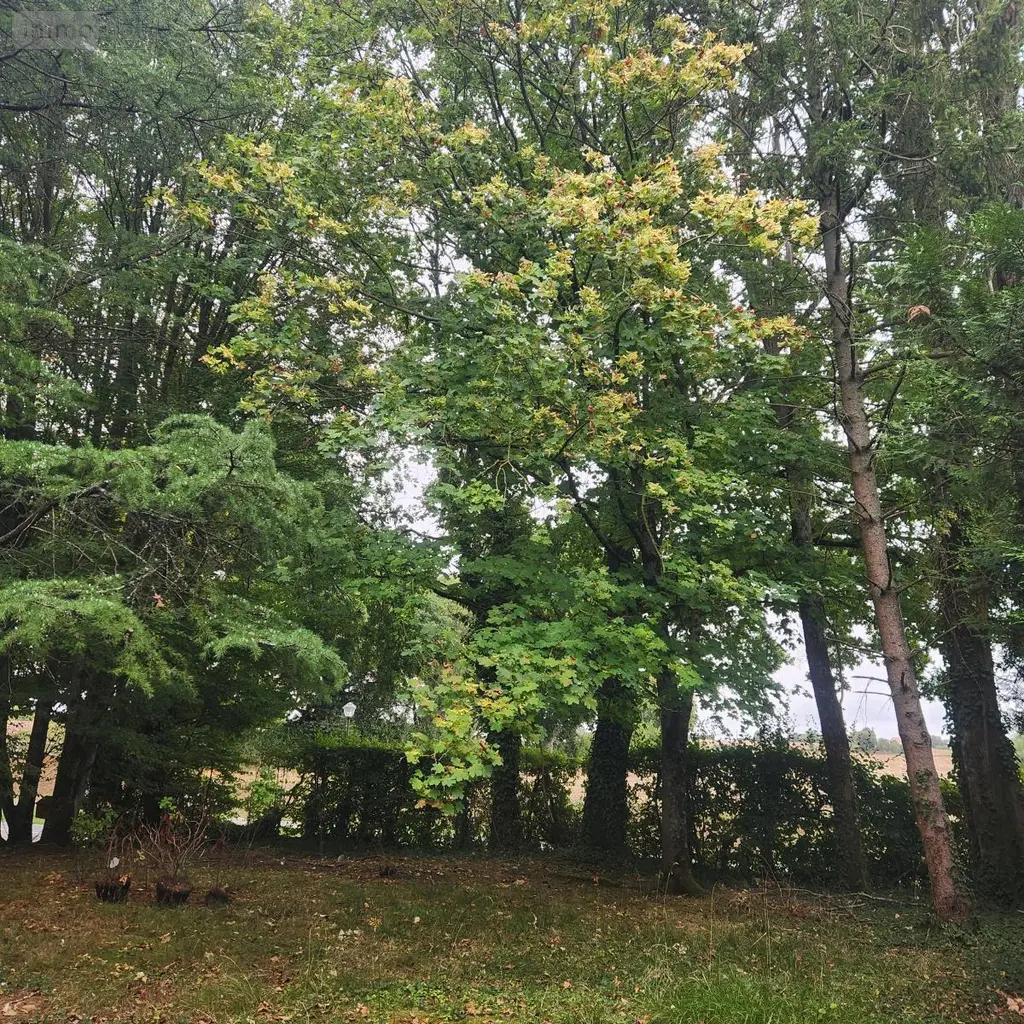 Maison a vendre Cherré-Au 72400 Sarthe 72 117 m2 202800 euros 72085-2290 003