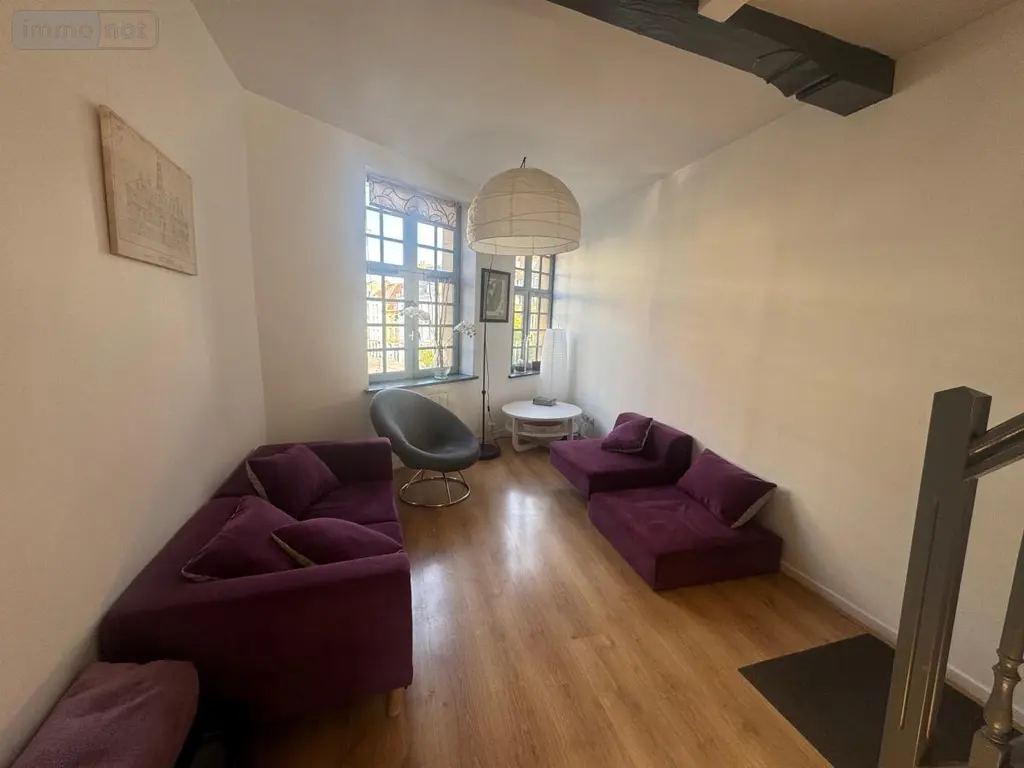 Location appartement Lille 59800 Nord 59 49 m2 2 pièces 1350 euros 59007-L107 005