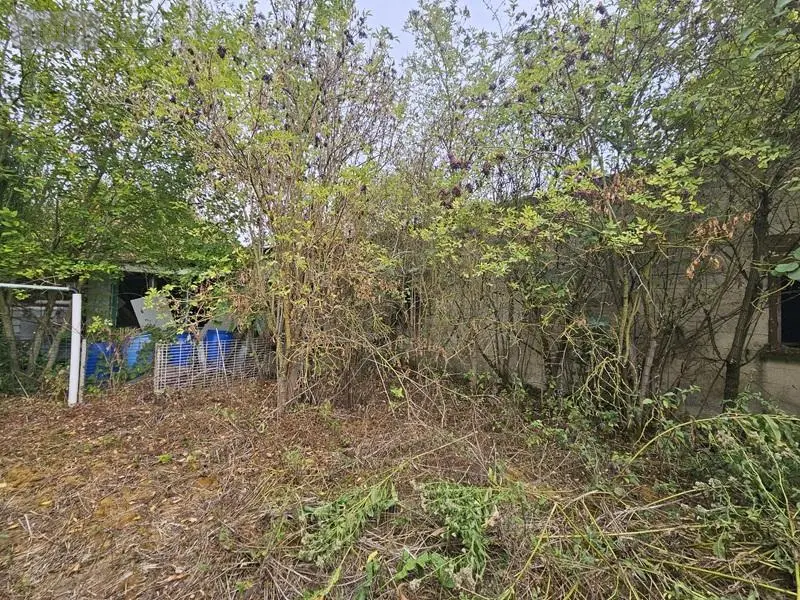 Maison a vendre Phalempin 59133 Nord 59 91 m2 61000 euros 59007-1945 016