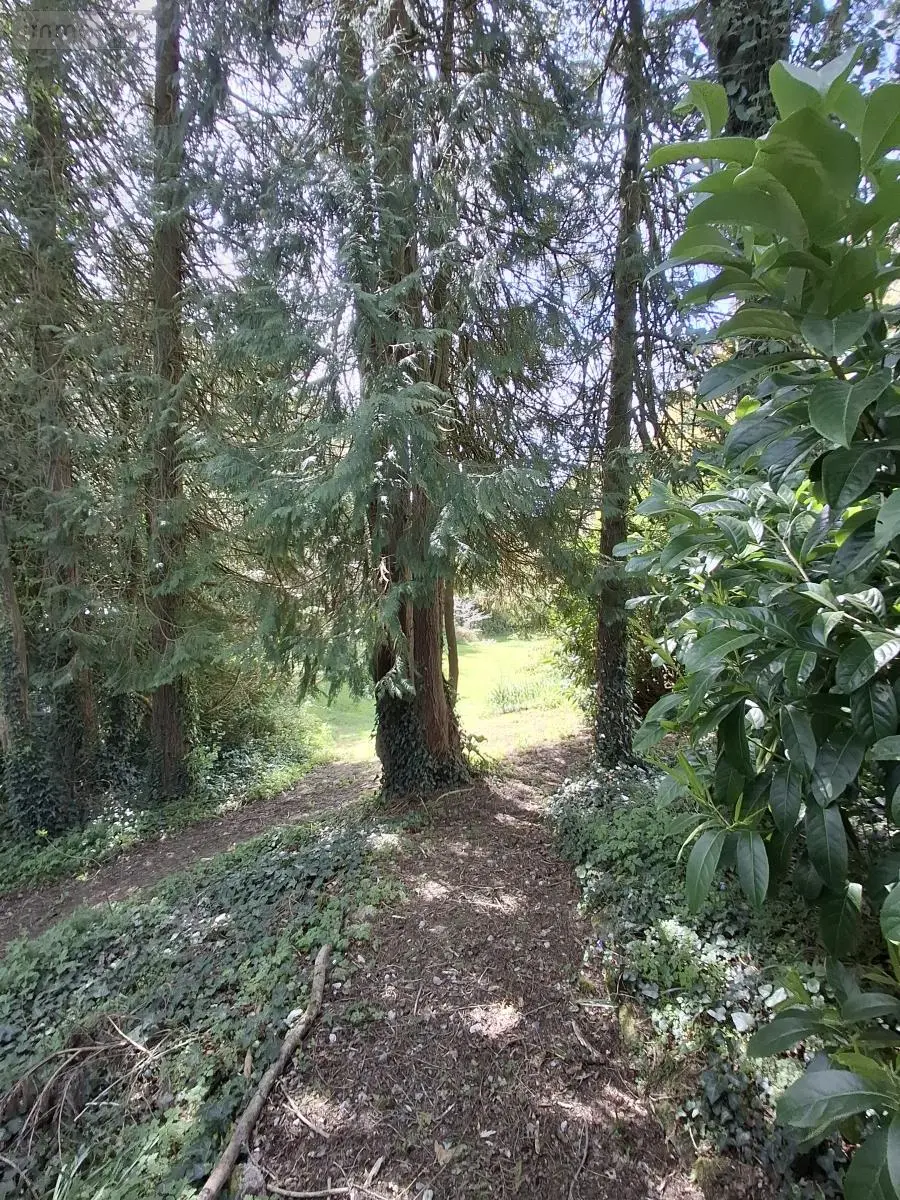 Maison a vendre Le Sourn 56300 Morbihan 56 143 m2 5 pièces 159100 euros 56062-2312 017