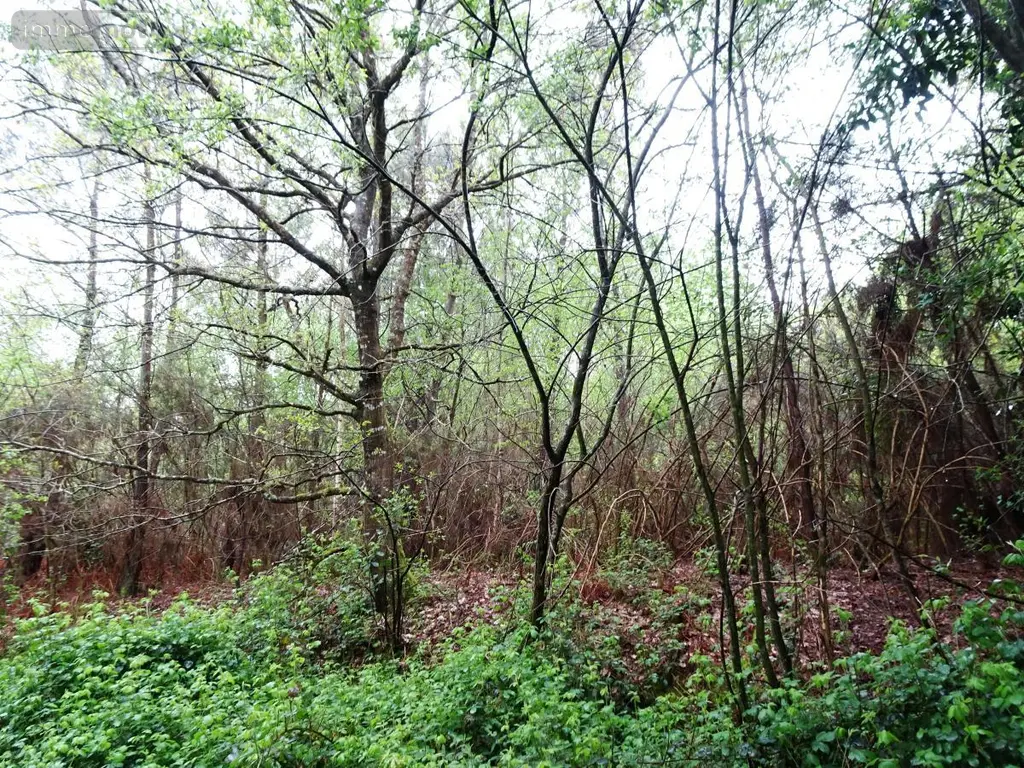 Terrains de loisirs bois etangs a vendre Saint-Marcel 56140 Morbihan 56 9400 euros 56049-830 001