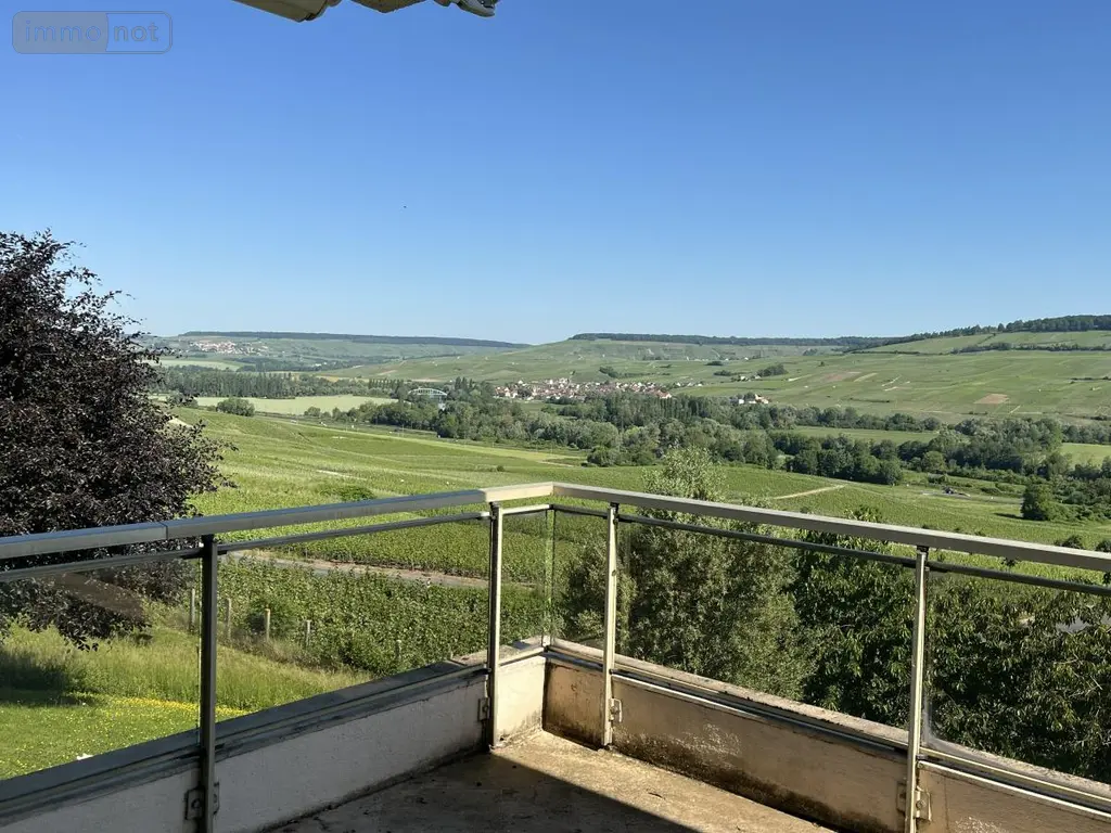 Maison a vendre Œuilly 51480 Marne 51 295 m2 8 pièces 420000 euros 51022-2350 005