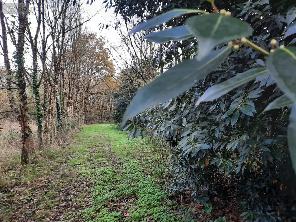 Terrains de loisirs bois etangs a vendre Aizenay 85190 Vendée 85 41280 euros 85091-5199 001
