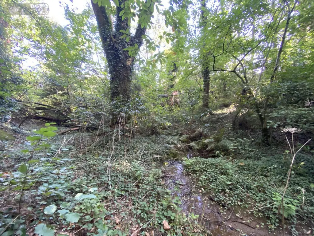 Maison a vendre Saint-Jean-Brévelay 56660 Morbihan 56 47 m2 2 pièces 59000 euros 56056-196 010