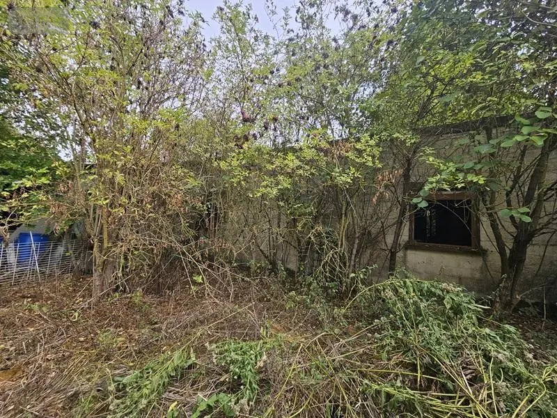 Maison a vendre Phalempin 59133 Nord 59 91 m2 61000 euros 59007-1945 015