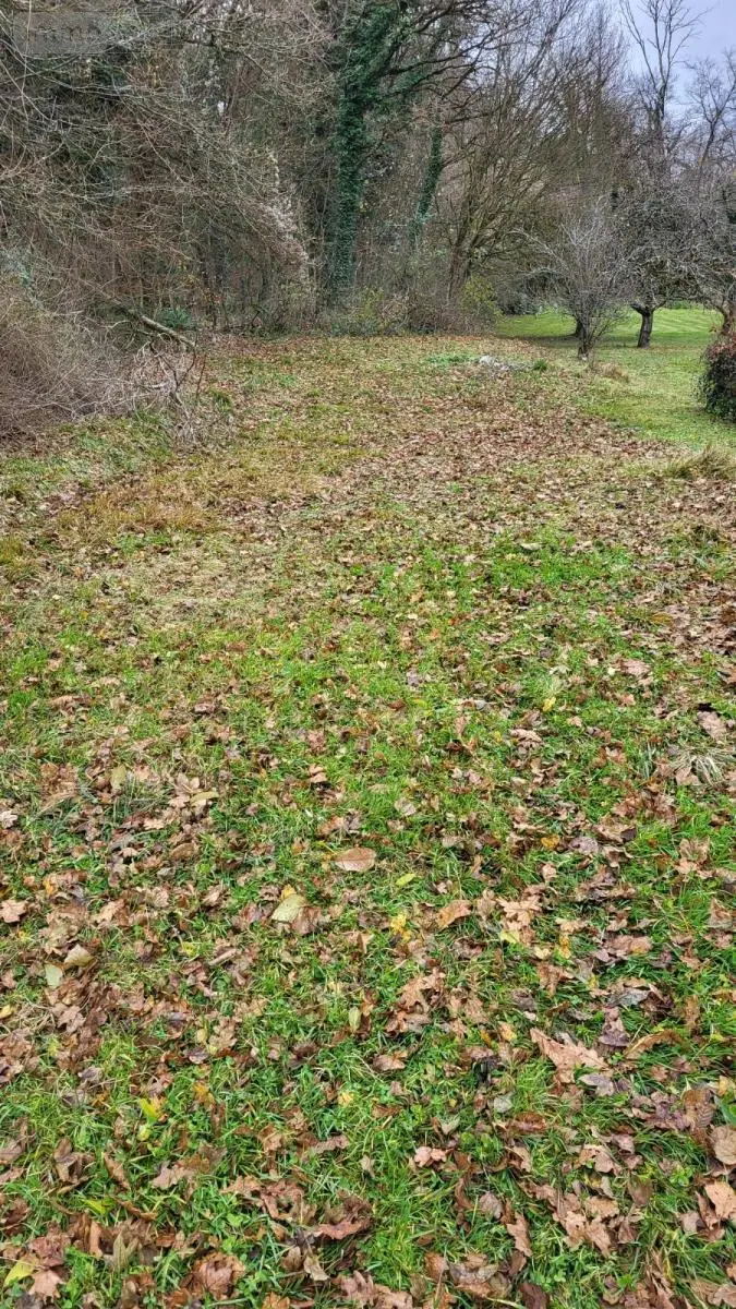 Terrain a batir a vendre Bart 25420 Doubs 25 99000 euros 25054-1738 003