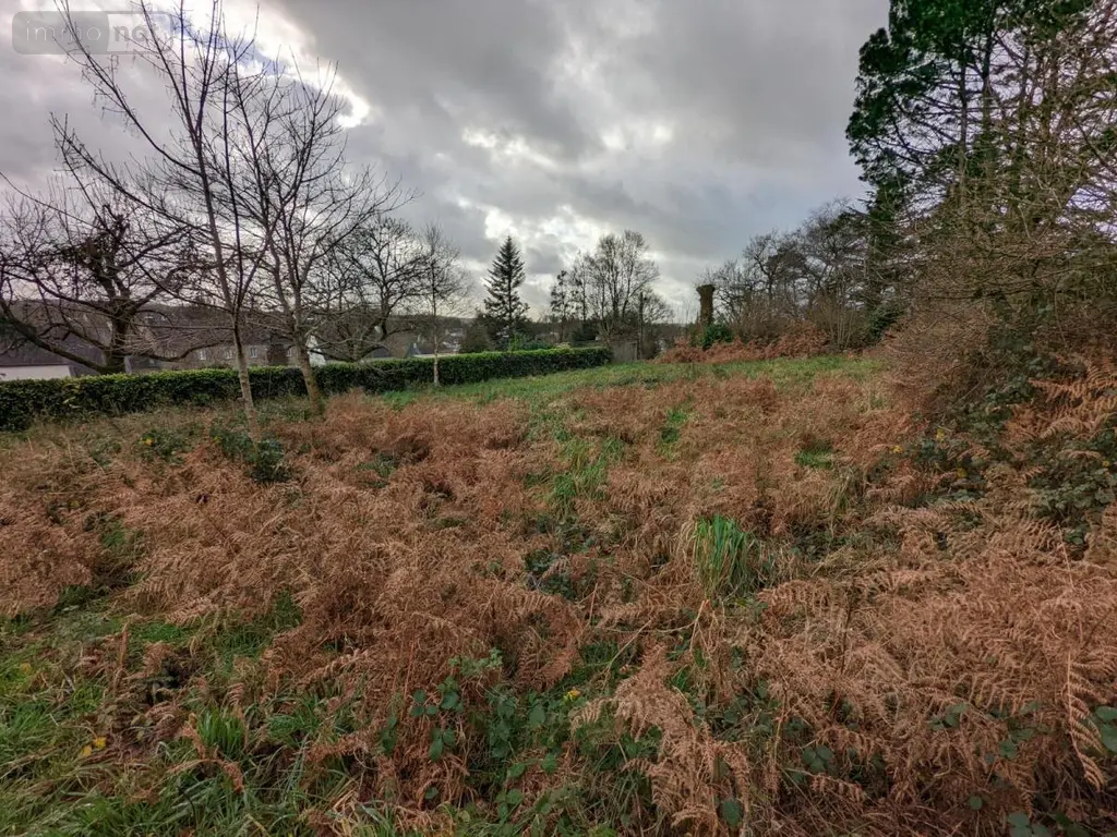 Terrain a batir a vendre Plouray 56770 Morbihan 56 13900 euros 56071-2474 002