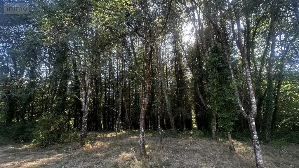 Maison a vendre Meslan 56320 Morbihan 56 105 m2 3 pièces 192950 euros 56081-2656 003