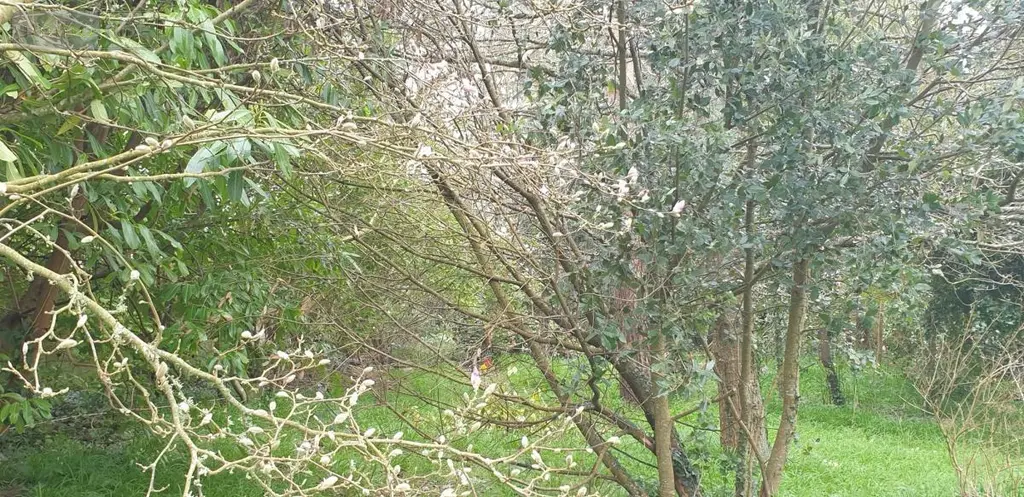 Terrain a batir a vendre Plougonvelin 29217 Finistère 29 360692 euros 29058-1678 004