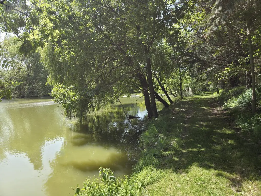 Terrains de loisirs bois etangs a vendre La Roche-Neuville 53200 Mayenne 53 95700 euros 53073-1758 014