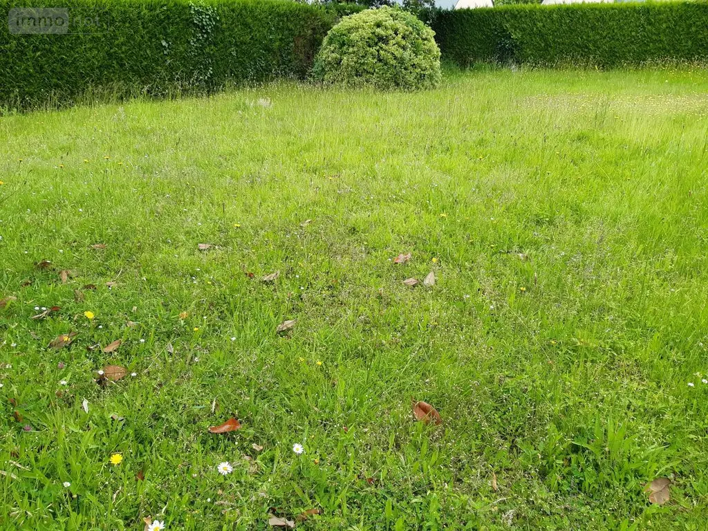 Terrain a batir a vendre Champigné 49330 Maine-et-Loire 49 31800 euros 49096-1339 001