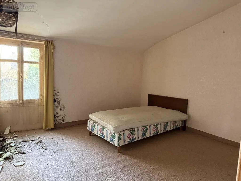 Immeuble de rapport a vendre Le May-sur-Èvre 49122 Maine-et-Loire 49 250 m2 83840 euros 49058-1566 011