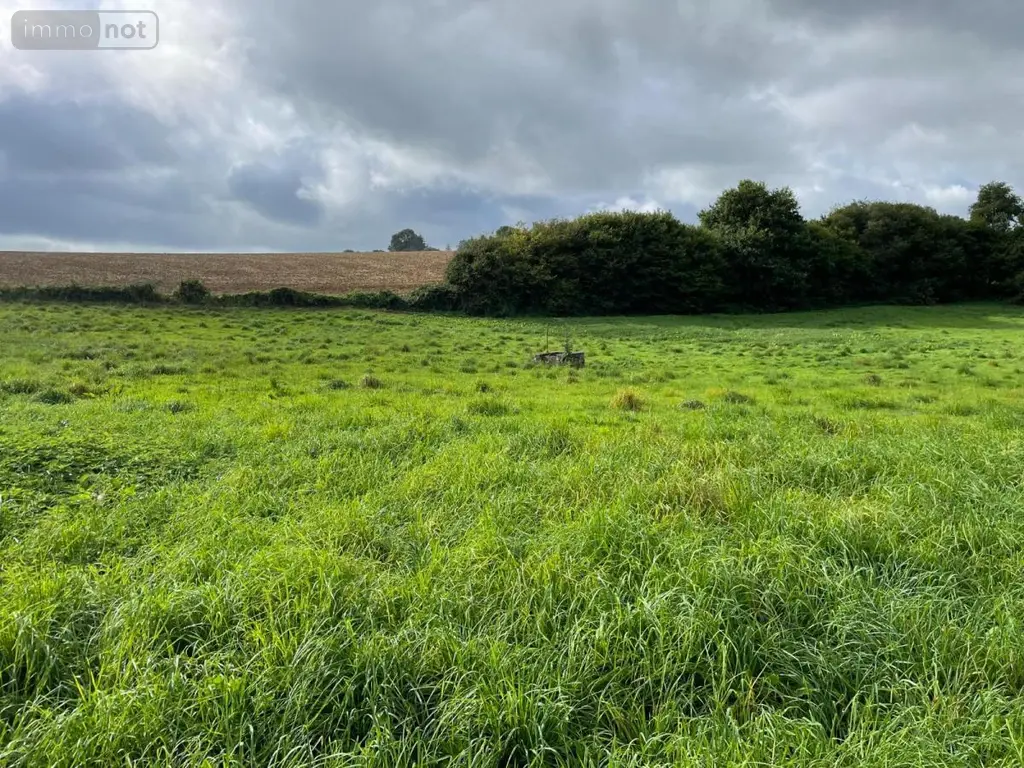 Terrains de loisirs bois etangs a vendre Reffuveille 50520 Manche 50 21800 euros 50020-1438 001