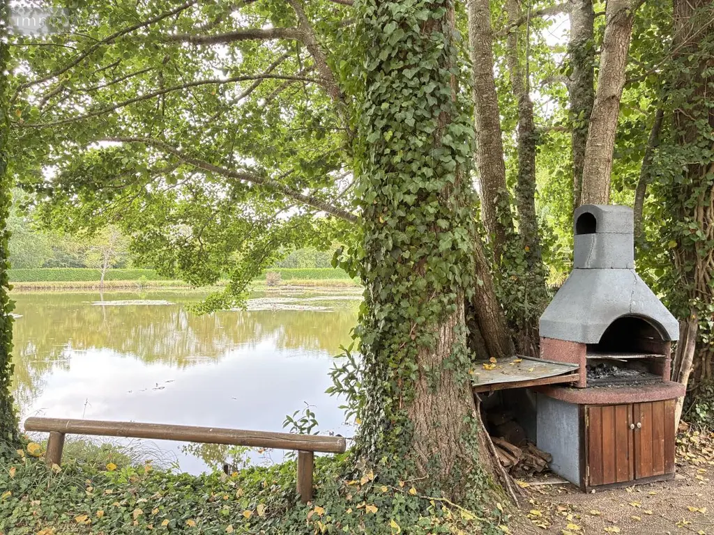 Terrains de loisirs bois etangs a vendre Brée 53150 Mayenne 53 69000 euros 53004-1342 011