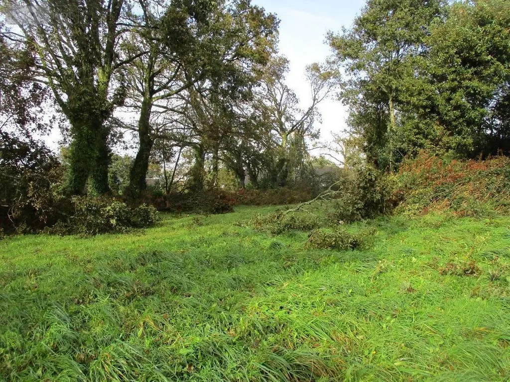 Divers a vendre Carhaix-Plouguer 29270 Finistère 29 9840 m2 95400 euros 29064-2753 004