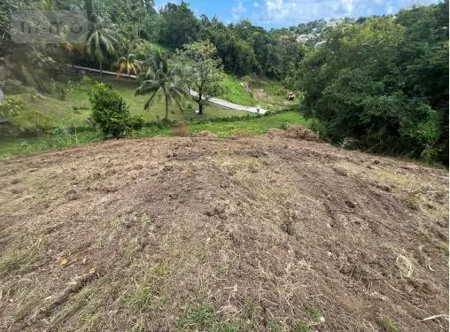 Terrain a batir a vendre Le François 97240 Martinique 972 200000 euros 97204-384 004