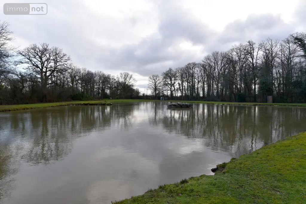 Terrains de loisirs bois etangs a vendre Mézangers 53600 Mayenne 53 63000 euros 53004-1296 006
