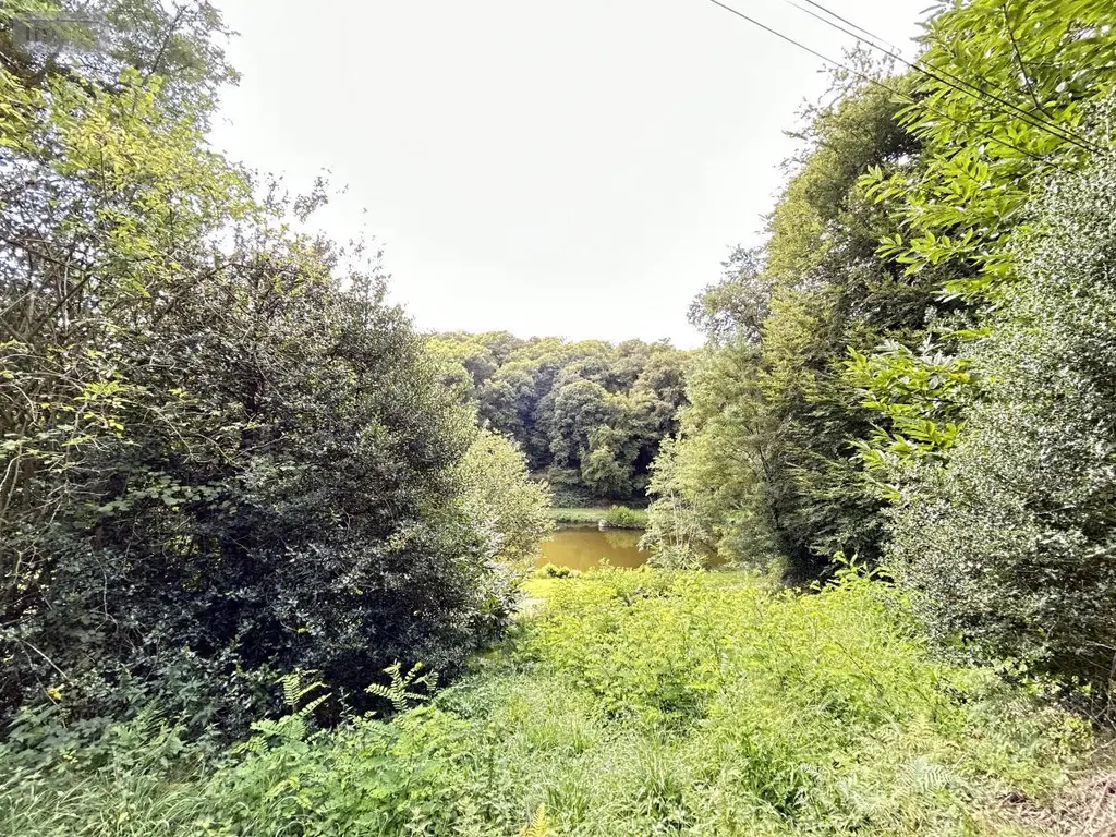 Maison a vendre Lizio 56460 Morbihan 56 260 m2 201900 euros 56046-1245 029