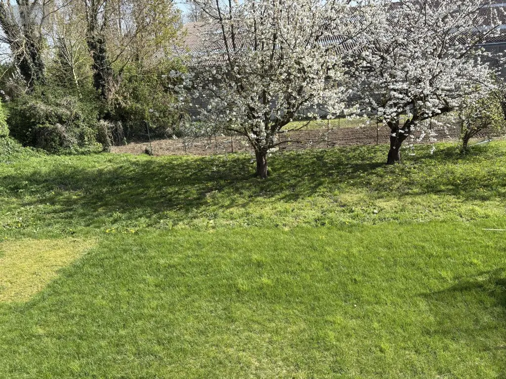 Maison a vendre Hénin-Beaumont 62110 Pas-de-Calais 62 151 m2 8 pièces 398000 euros 62034-4042 017