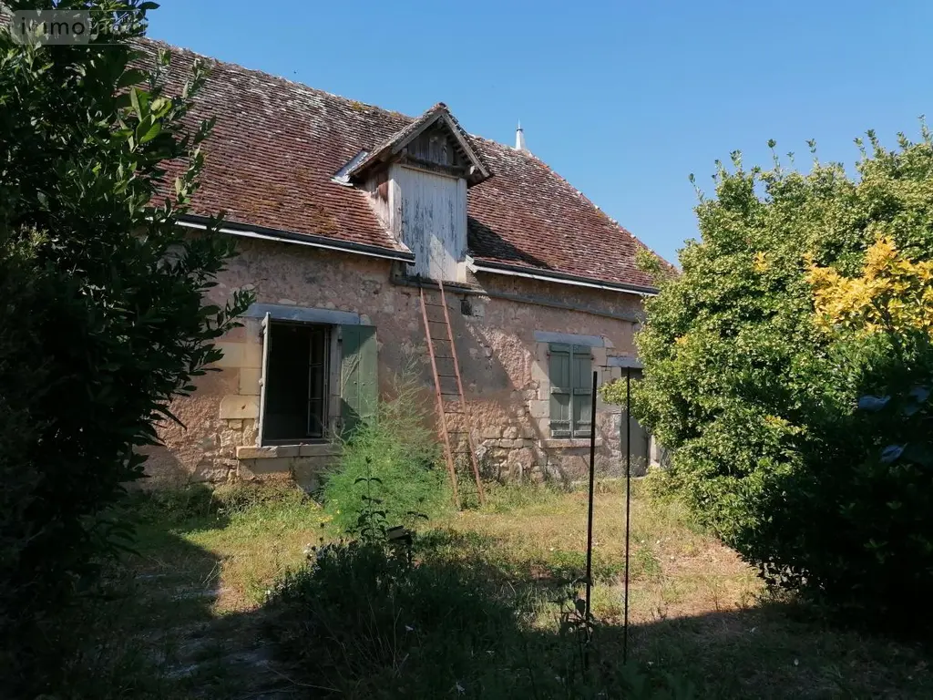 Maison a vendre Le Grand-Pressigny 37350 Indre-et-Loire 37 262 m2 10 pièces 225750 euros 37082-307 019