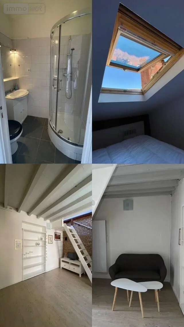 Appartement a vendre Toulouse 31000 Haute-Garonne 31 19 m2 1 pièce 146000 euros 31003-165 003