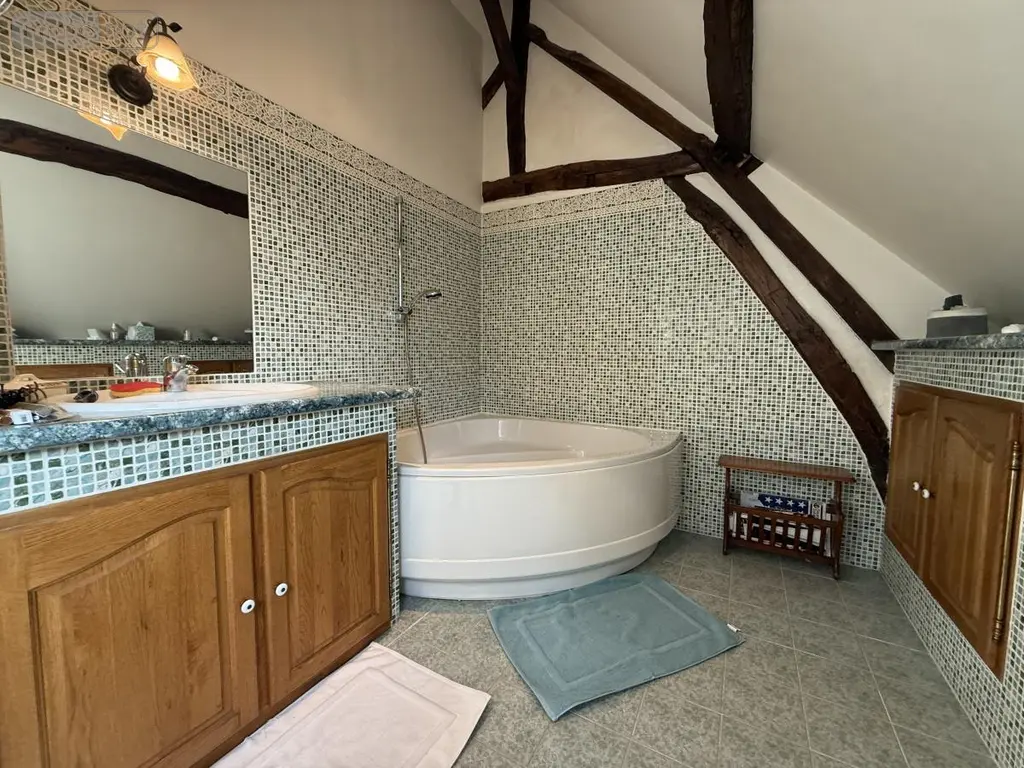Maison a vendre Allonne 60000 Oise 60 291 m2 9 pièces 572000 euros 80121-2789 018