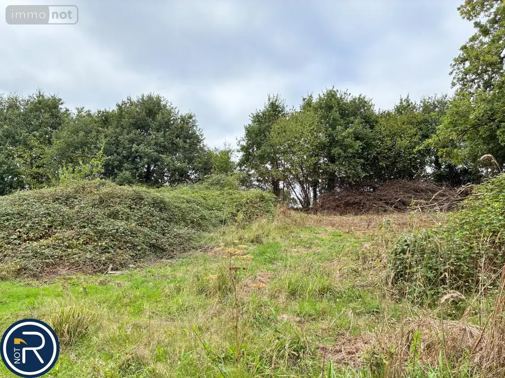 Terrains de loisirs bois etangs a vendre Montaudin 53220 Mayenne 53 13500 euros 53004-1253 012