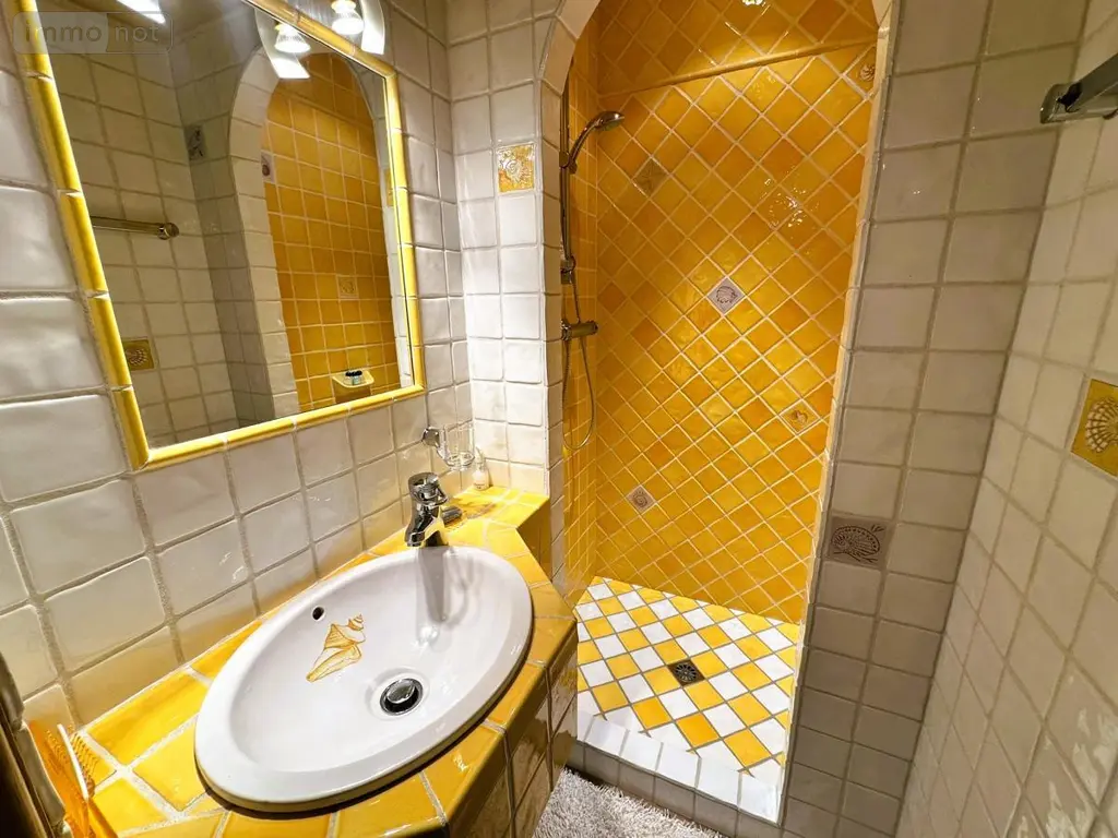 Maison a vendre Clavières 15320 Cantal 15 346 m2 960000 euros 15046-92 017