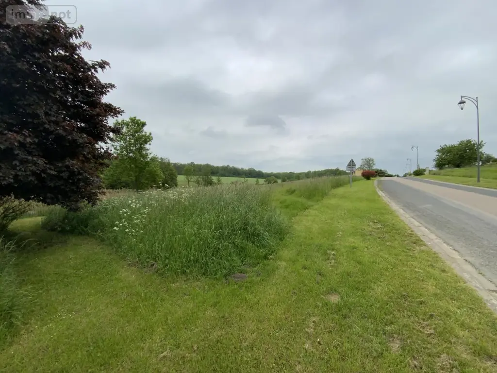 Terrain a batir a vendre Saint-Euphraise-et-Clairizet 51390 Marne 51 95000 euros 51066-1868 003