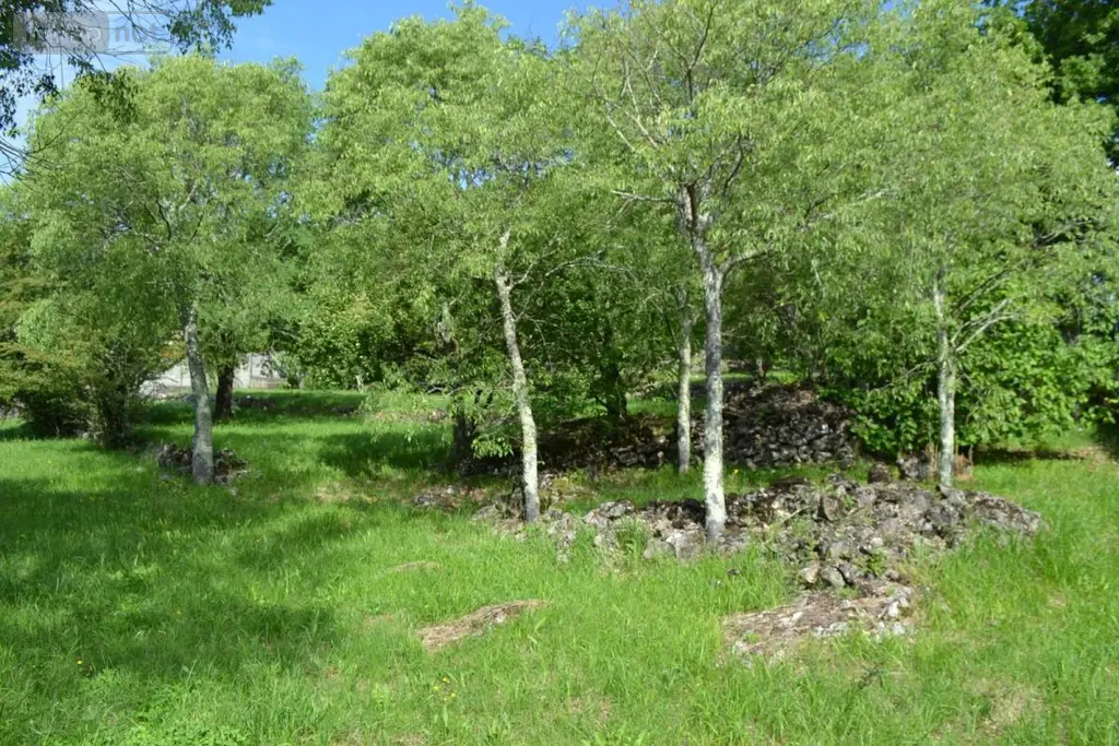 Terrain a batir a vendre Montréal 07110 Ardèche 07 82300 euros 07068-709 002