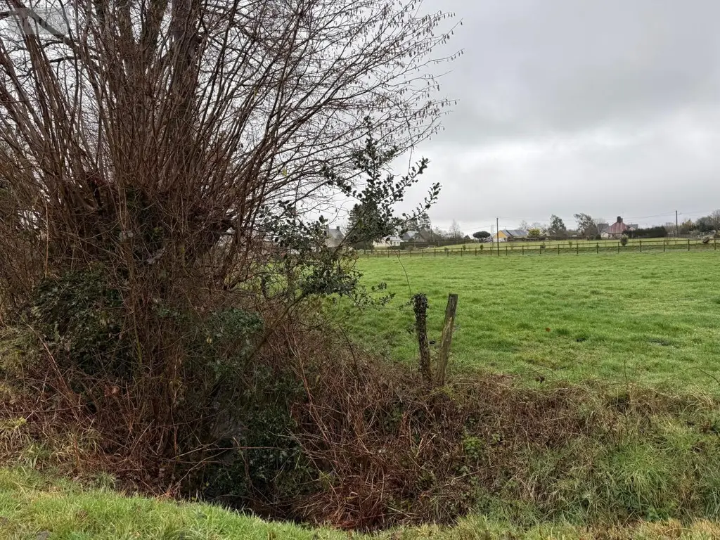 Terrains de loisirs bois etangs a vendre Saint-Aubin-des-Bois 14380 Calvados 14 82715 euros 50038-2709 007