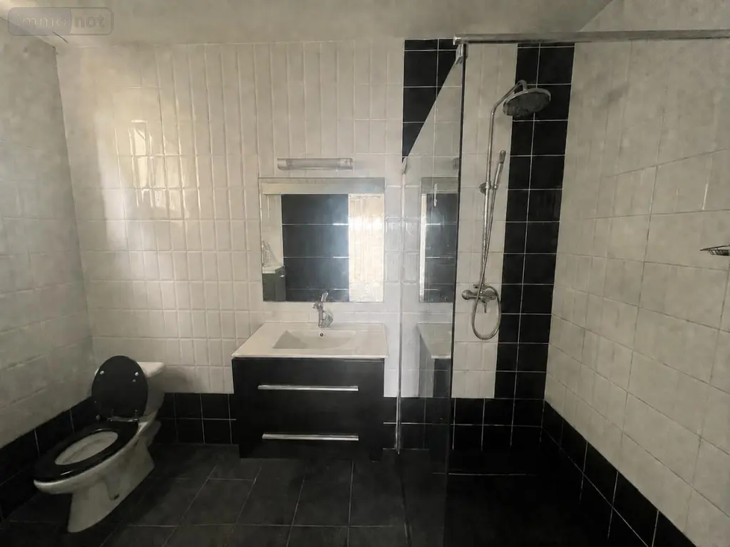 Maison a vendre Le Tampon 97430 La Réunion 974 163 m2 6 pièces 419000 euros 97411-376 011