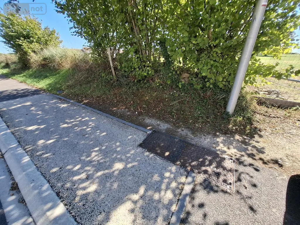 Terrain a batir a vendre Les Gonds 17100 Charente-Maritime 17 146888 euros 17111-756 008