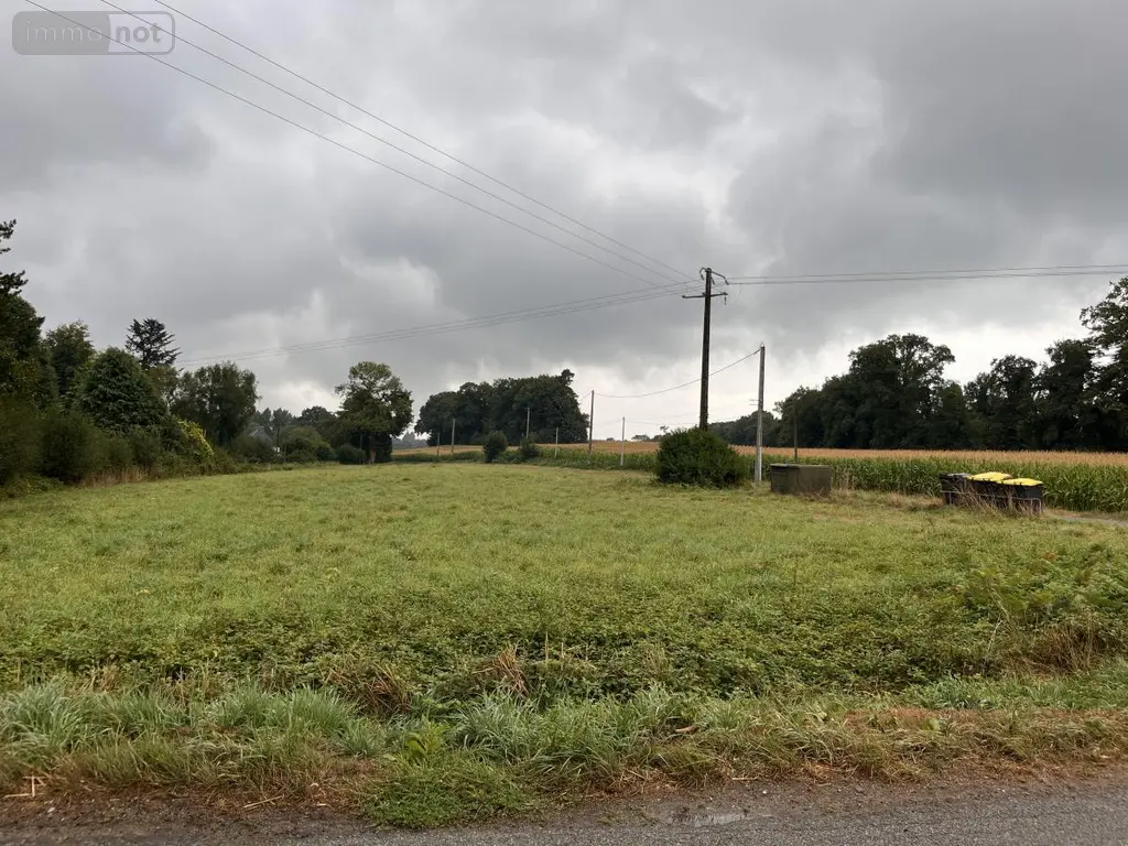 Terrains de loisirs bois etangs a vendre Guern 56310 Morbihan 56 4900 euros 56064-1319 002
