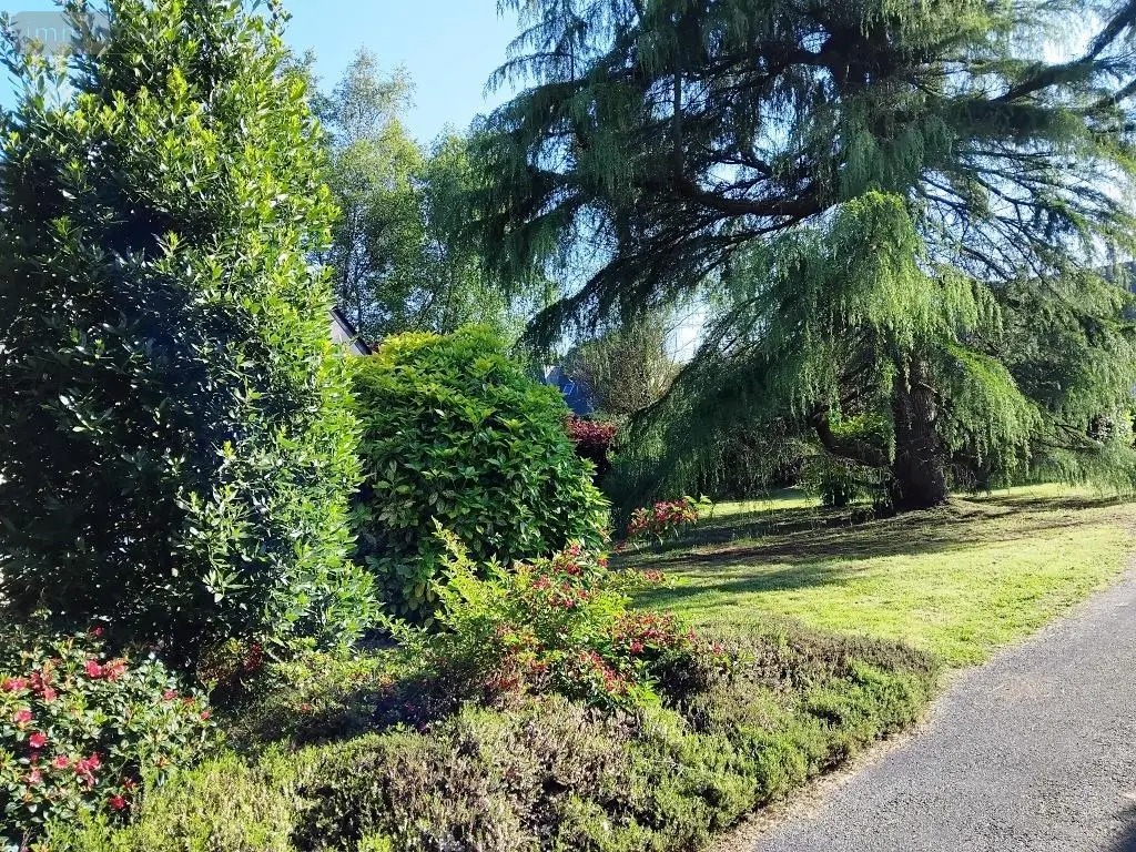 Maison a vendre Plélauff 22570 Côtes-d'Armor 22 97 m2 4 pièces 239500 euros 56075-2491 024