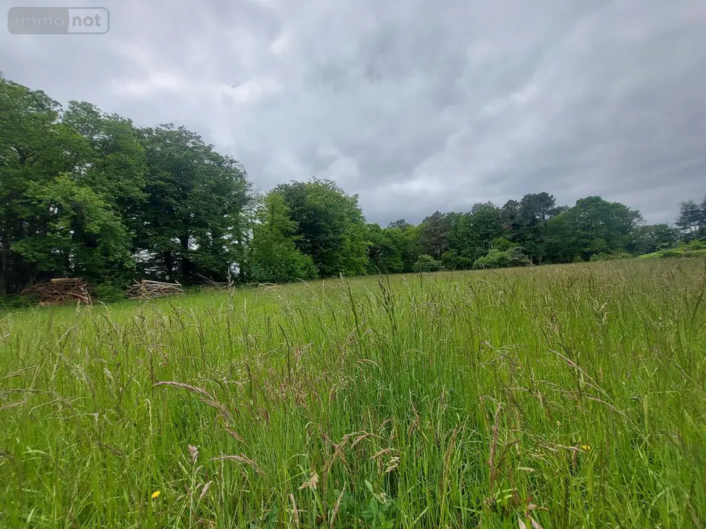 Terrain a batir a vendre Camors 56330 Morbihan 56 78100 euros 56040-624 002