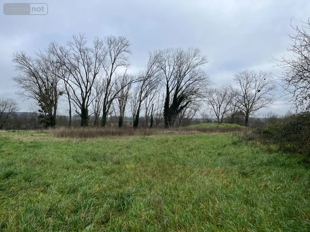 Fonds et murs commerciaux a vendre Parçay-sur-Vienne 37220 Indre-et-Loire 37 500 m2 90100 euros 37060-2284 007